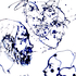 Head_study