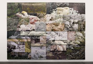 Pig Years,Li Songsong