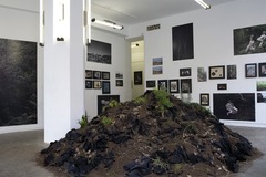 20120314150441-_mg_7352