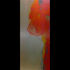 100502_10x23