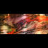 100507_41x17