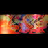 100509_35x14