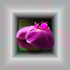 Resting_place_6