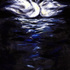 Swan360