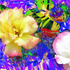 Song_of_rejoice_dpf