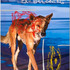 1276012439image_web