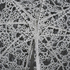 Carpenter__j_12__the_exquisite_frost__detail