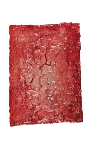 22__rodney_dickson__2009__23_x_17_ins__acrylic
