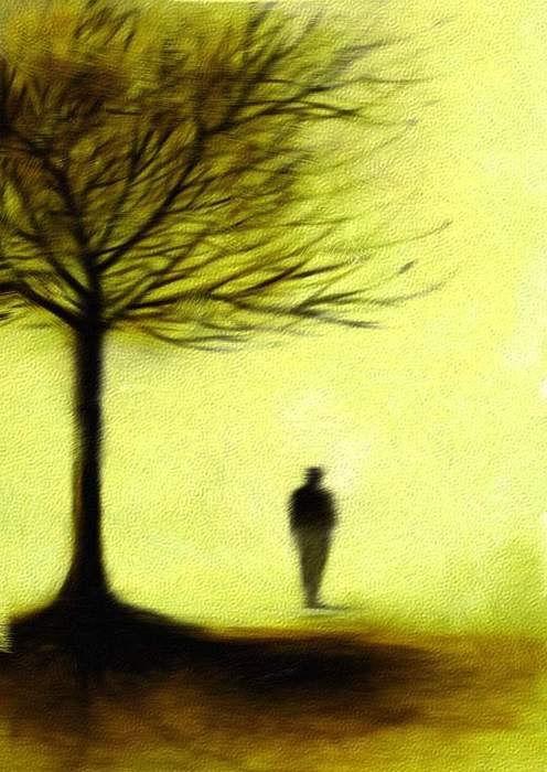 16221909_pittura