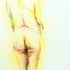 Madame__les_ailes
