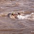 Flood_cubes_3