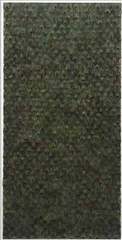 00920100615