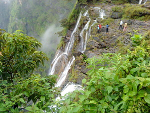 Dsc00250