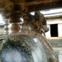 Dsc00295