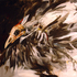 714c36-48o09n__5000_grounded_13