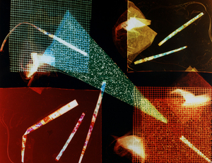 Collageii