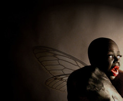 Boxer_tinkerbell