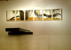 Hayekk-spanishmoss_installation