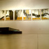 Hayekk-spanishmoss_installation