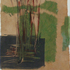 Hayekswampgrass