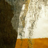 Spanishmossi-web