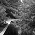 Dsc08792