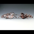 Rampant_plus-minus_pair