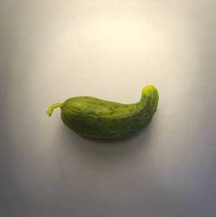 A Real Pickle,Robert Stark III