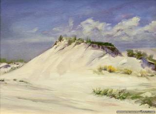 Island State Park,Joe Terrone