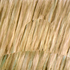 Redwood_set