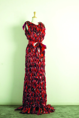 The Red Dress,Darlyn Susan Yee