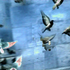 Capture_d__cran_2010-05-26___10