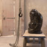 Baboon-552-x-349