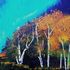 Aurora_borealis