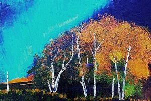 Aurora_borealis