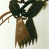Goebel