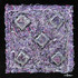 Enigma_of_euryphaessa
