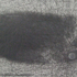 Lal_entry_2__paul_lorenz_may_25__1000_lines_graphite_and_oil_on_panel_11x14__2010
