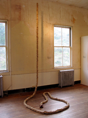 Spinal Column,Chela Fielding