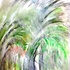 Photo0249_1