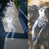 07_majewska_invisible_people__1_