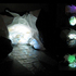 09_majewska_memory_of_fish__1_