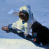 39_man_with_rolling_suitcase1600