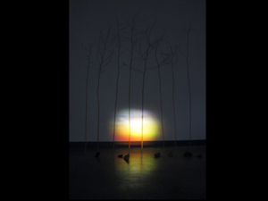 03_majewska_sunset