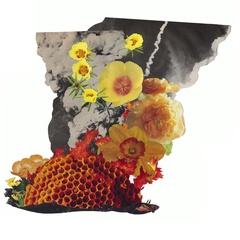 Fire,Elisheva Biernoff