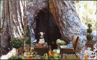 Tree House,Elizabeth Cayne