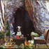 Tree-house-1