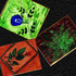 Foillage_2