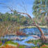 Florida_wetland