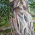 Strangler_fig